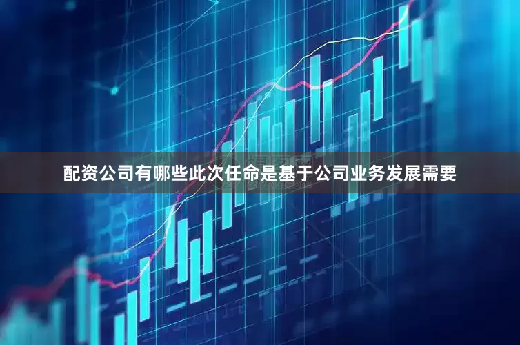 配资公司有哪些此次任命是基于公司业务发展需要